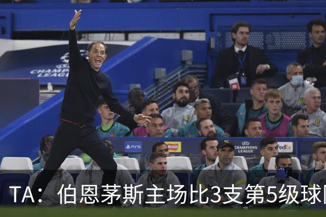 TA：伯恩茅斯主场比3支第5级球队还小，伊劳拉如今的压力远超从前